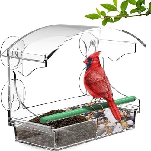 Window Bird Feeder with 4 Strong Suction Cups, Ewinvos Clear Window Bird Feeder for Outside, Acrylic Bird House for Window, Large Outdoor Bird Feeders, Wild Bird Watching Gif