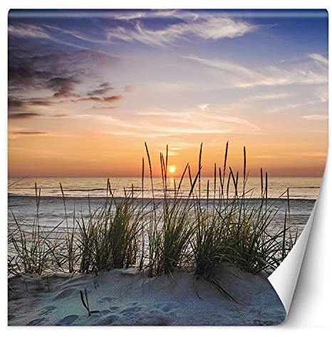 Feeby Fototapete XXL Sand Gras Meer 200x200 cm Orange Vliestapete Moderne Design Wandtapete Küche Flur Wohnzimmer Büro Badezimmer Kinderzimmer Strand Sonnenuntergang