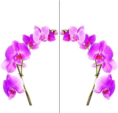 Stickers muraux fleurs Orchidée Kit x2 - Autocollants muraux, adhésif floral - stickers décoration - Décoration Murale Chambre Enfants Salon Bureau (80x56 cm)