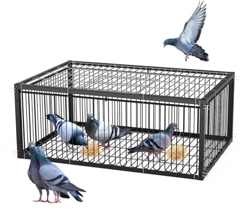 MUALROUS 40 cm gabbie di piccioni (64 x 44 x 26 cm)