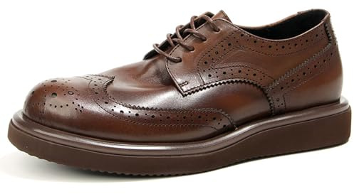WinDhana Men's Dress Shoes Genuine Leather Derby Luxury Formal Business Suit Shoes for Men Cap-Toe Full-Brogues 66-7 Brown 8