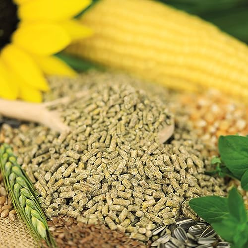 wachtelgold Sommerkorn 25kg Wachtelfutter Sommer & Hitze | Mit Oregano, Thymian & Sommer-Komplex für Wachteln