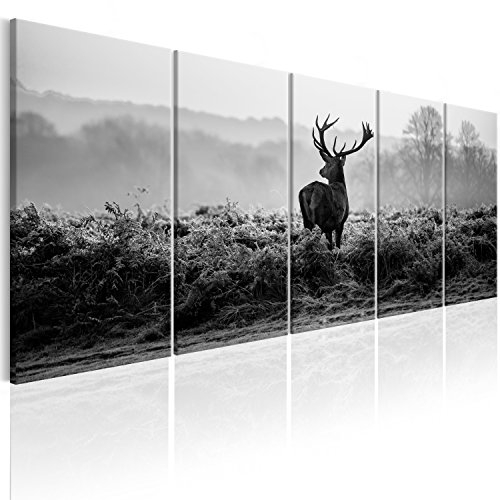murando - Akustikbild Hirsch 100x40cm 5 tlg Bilder Akustikschaum Schallschutz Wand Akustikpaneele Wandpaneele Schalldämmung Wandbild Schallabsorber Akustikplatten Natur Tier Landschaft g-B-0047-b-o