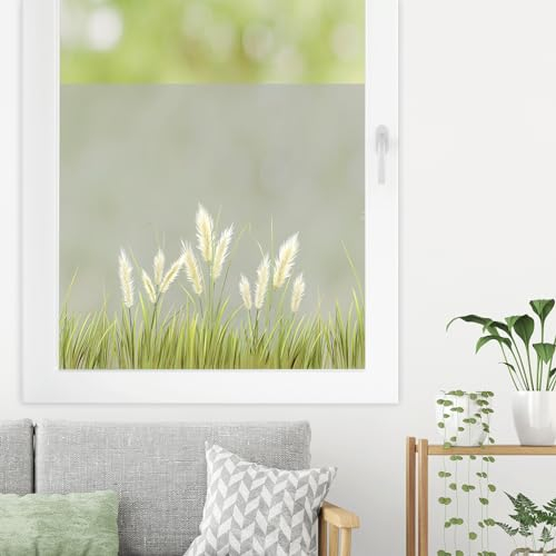 Sichtschutzfolie farbiges Pampasgras Gräser Fensterfolie Fensterdeko Milchglasfolie Sichtschutz Folie Fenster, 55 cm hoch, 50 cm breit