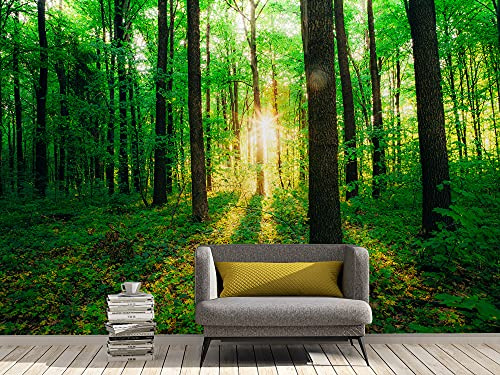 Oedim Fotomural Vinilo Adhesivo Bosque Verde, 336x238cm, Vinilo Adhesivo Decorativo para Habitaciones, decoración para Paredes.