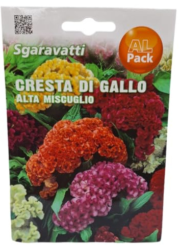 1000 SEMI FIORI CRESTA DI GALLO ALTA CELOSIA CRISTATA COLORI MISTI SEEDS SEMILLAS SEMEN GRAINES