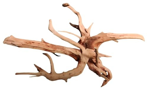 Sacolin Rhododendron Root Driftwood, Natural, 15.7 in / 40 cm, Tree Root Ornament for Aquarium, Reptile Habitat, Freshwater Fish Tank Hardscape, Unique Shape, Micro Landscape