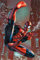 Pyramid International Web Slinger Maxi Poster, Wood, Color, 91.5L x 61W cm