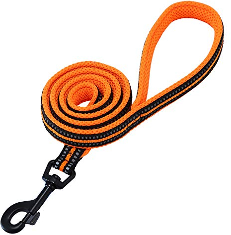 PETTOM Hundeleine Reflektierend Leine aus Nylon mit Weich Gepolsterter Griff und Metallhaken für Training, Robuste Leine Hund für Kleine Mittel Große Hunde (Orange 110 cm)