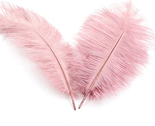 10 Stück 20-25cm Natürliche Straußenfedern,Strauß Feder zum Basteln,Bastel Federn für DIY Traumfänger Zubehör,Heimdekoration,KostüMe,Tischdeko Hochzeit Party Fest Hüte Kleidung Dekoration,Altes Rosa
