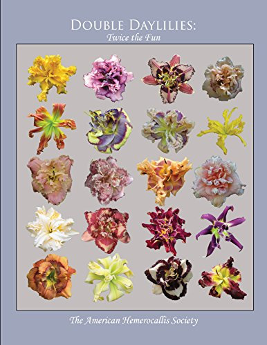 DOUBLE DAYLILIES: Twice the Fun