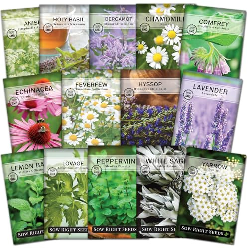 Sow Right Seeds - Large Medicinal Herb Seed Collection for Planting - Chamomile, Echinacea, Lavender, Mint, Lovage, Lemon Balm, & More - Non-GMO Heirloom for Home Remedies, Teas, Tinctures