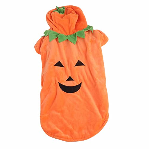 Halloween pumpa hundkläder för hundar halloween hunddräkt pumpa hundkläder söt varm kostym för små medelstora hundar (2XL)