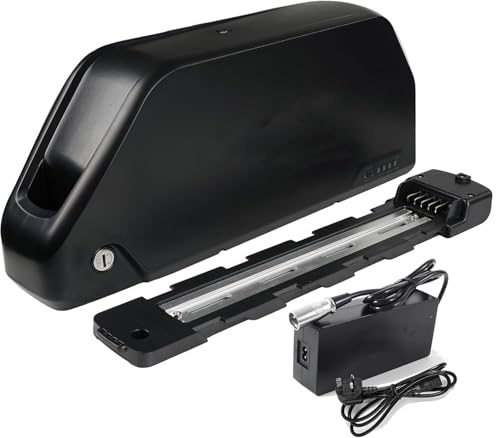 Batería Ebike 48V 30AH, Batería Bicicleta Electrica 48V 30AH Batería De Alta Potencia para Motor 1000W 750W 500W 350W 250W con Cargador Placa Base y Célula Grado A 48V 30AH