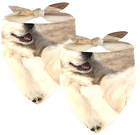 Passendes Set mit Hundehalstüchern, Hundelätzchen, Schal, Dreieckstuch für Hunde, Katzen, Haustierbesitzer, Mutter und Vater, 2er-Pack,Tierischer Golden Retriever Hund