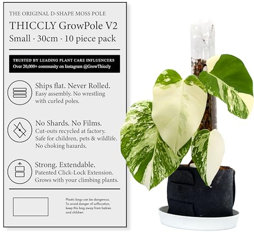 Thiccl, Kunststoff-Moosstäbe für Kletterpflanzen, Version 2, klein, 10 Stück, stapelbar, Monstera-Pflanzenstütze, Kletterhilfe für Pflanzen, Moosstab zur Selbstgestaltung, Pflanzenstützstäbe für