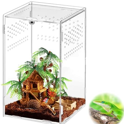 AMZTEMU Terrario Insectos, Caja de alimentación para Reptiles, Estuche de Cría de Reptiles para lagartos, arañas, Ranas de Cuernos y escarabajos, acrílico Transparente(12 * 12 * 20cm)
