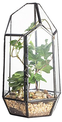 NCYP 22cm Geometrisches Pflanzen-Terrarium mit Tür, Handgefertigter Unregelmäßiger Glas-Pflanztopf für Sukkulenten, Moderne Dekoration, Kleiner Blumentopf (Ohne Pflanzen)