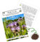 Phacelia Samen Bienenfreund (Phacelia tanacetifolia) als ideale Beimischung für eine bunte Bienenweide - Der Liebling für Bienen & Schmetterlinge