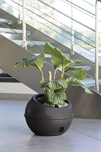 Bama Jarrón Esfera con Fondo Antracita