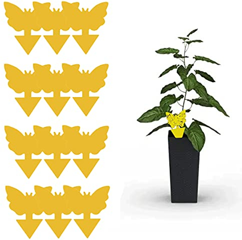 Coocnh 12 Pezzi trappole adesive Gialle, bifacciali, per Piante Volanti, Insetti Inclusi