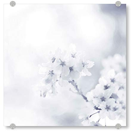 artboxONE Acrylglasbild 100x100 cm Natur Blütentraum Bild hinter Acrylglas - Bild Blüten Blume Blüten