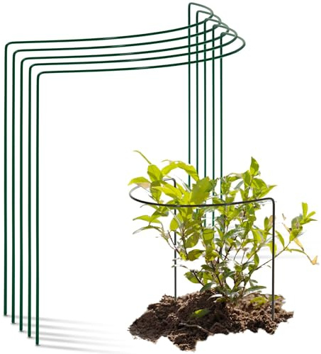 Novatool 5 tutori per arbusti, semicircolari, 50 x 40 cm, colore: verde