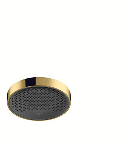 hansgrohe wassersparender Duschkopf Regendusche Rainfinity (250mm, rund, 1 Strahlart) Brushed Polished Gold Optik