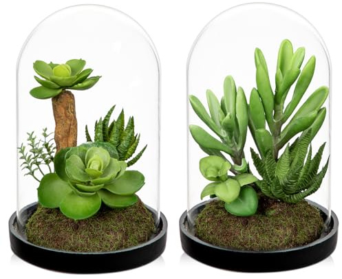 Arborus Künstliche Sukkulenten in Glasglocke Kunstpfanze Sukkulente im Glas | Arborus 2 Stück 15 CM Künstliche Pflanzen Tisch Deko Dekopflanzen Klein Sukkulenten für Wohnzimmer Schlafzimmer