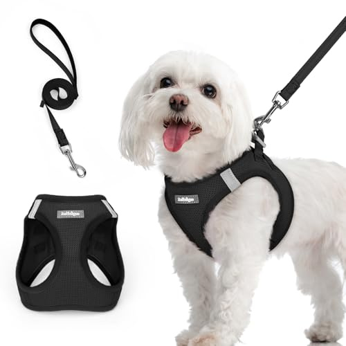 rabbitgoo Harnais Chien Petite Taille avec Laisse Réfléchissant, Harnais Chiot en Maille Souple, Gilet Réglable Facile à Mettre, Arnet pour Chien Petit et Moyen pour Marcher Courir, Noir M