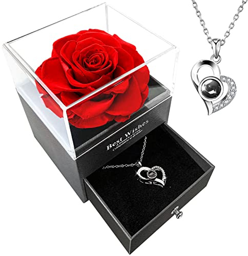VANGOLD Eternal Real Rose with Necklace Gift Box Preserved Real Flower Enchanted Red Rose Handmade Forever Rose for Valentine's Day Mother's Day Wedding Anniversary Birthday for Her