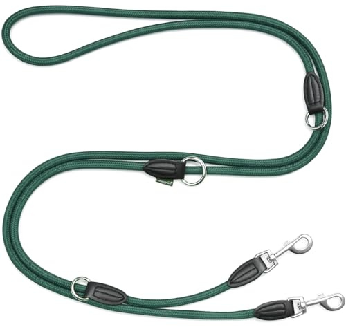 Leisegrün Verstellbare Hundeleine 3m - Robuste Nylon Doppelleine für mittelgroße bis große Hunde, 200kg Zugkraft, 2 Karabiner - Grün