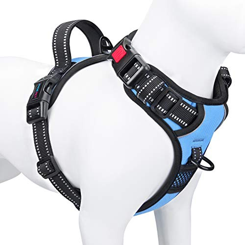 PHOEPET Anti-Zieh-Hundegeschirr, reflektierend, verstellbar, mit Trainingsgriff, Namensausweisfach, 2 Metall-Leinenhaken, 3 Schnappschnallen, einfaches Anziehen und Abnehmen, M, Babyblau