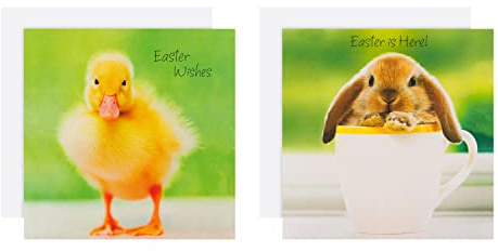 Hallmark Pack de 10 Tarjetas de Pascua, diseño de Pollitos y Conejos, Color Verde, Amarillo y Blanco