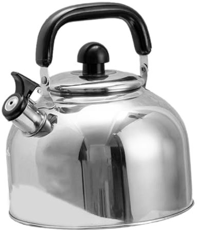 TOPBATHY Stainless Steel Kettle Whistling Tea Pot Electric Cordless Stovetop Pot Tea Kettle for Kitchen Unique Design