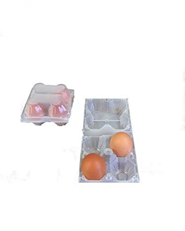 Générique 51 récipients coquetiers de 4 œufs en Plastique