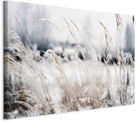 murando - Leinwandbild Winter Pflanzen Wiese, 120x80 cm, 1-teilig, modern | Hochwertige Leinwand, sofort aufhängbar, ideal fürs Wohn- oder Schlafzimmer, wasserfest und lichtecht, langlebig, stilvoll