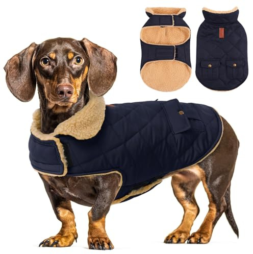 CITÉTOILE Warme Hundemantel Fleece Wintermantel für Hunde Blau L | Hundebekleidung Hundejacke mit Geschirr Loch für Chihuahua Dackel, Outdoor Welpen Mantel für kleine mittel große Hunde