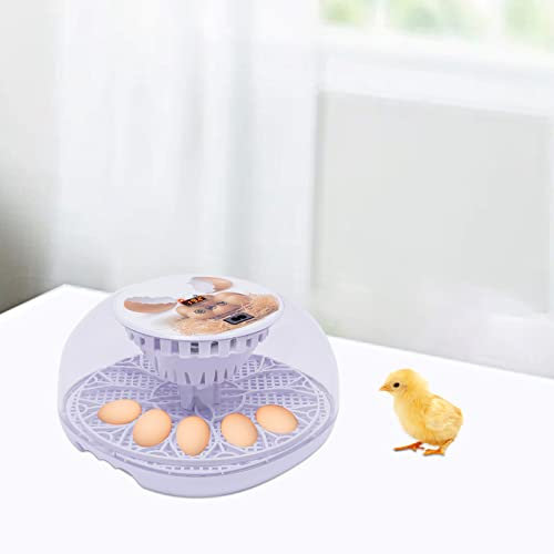 Eierinkubator, Temperaturkontrolle Hatching Machine Automatischer Inkubator für Hühnereier, Geflügel Hatcher für Hühner Enten Vögel (12)