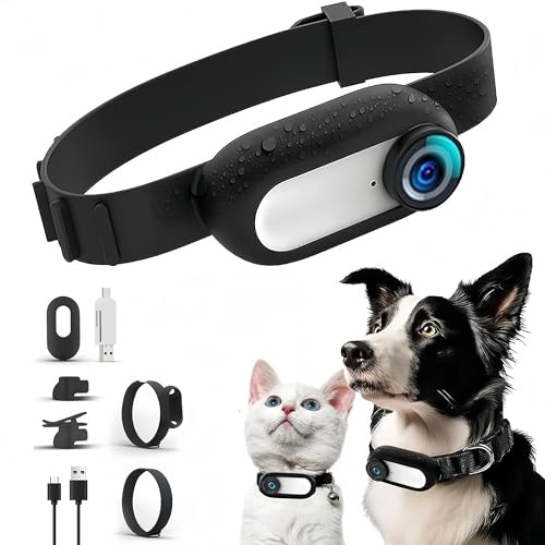 Bewinner Katzen Kamera Halsband, 120° Weitwinkel Haustier Sportkamera mit 0,96 Zoll LCD-Bildschirm, HD 1080P Multifunktionaler Haustier Katzen Tracker für Videoaufzeichnungen, weiß