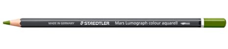 STAEDTLER Aquarellfarbstift 6er Set Olivgrün – wasservermalbarer Künstler-Farbstift im Sechskantformat – 3,6 mm Mine, hohe Farbintensität & Lichtbeständigkeit – ideal für Aquarellmalerei