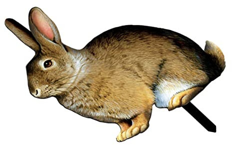 Cabilock Lawn Bunny Deko-Schild Für Garten Realistischer Kaninchen-stab Strapazierfähigem Material Für Osterzeit Für Garten Oder