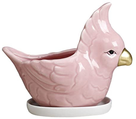 HIAKDOFT Keramik Blumentopf Satz Cartoon Ebene Motiv Sukkulenten Pflanztopf Mit Untersetzer Rosa Desktop Bonsai Topf Für Garten Büro Zuhause Dekoration