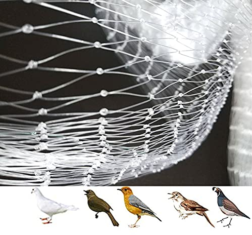 Vogelschutznetz, Vogelnetz Engmaschig Stabil Obstbaumnetz, Pflanzenschutznetz für Obst Gemüse Blumen Nylon Garten Vogelabwehrnetz Weiß (Mesh : 2.5cm, Size : 3m x 20m)