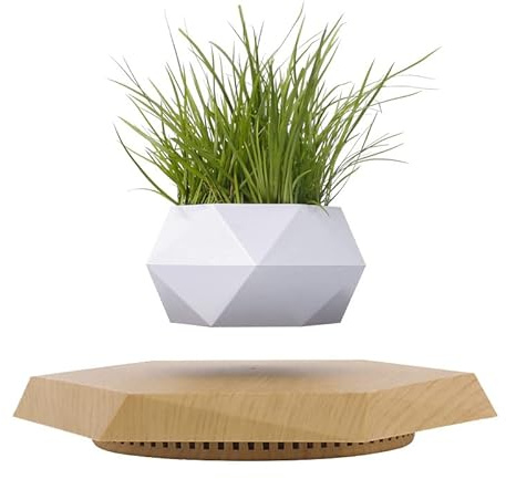 ETRAVEL Pot de fleurs en bois en lévitation pour plantes grasses, cactus - Décoration en lévitation pour la maison et le bureau - Affichage flottant magnétique - Blanc