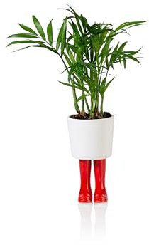 Varzi Dal 1956 Large Planter, Wellington Boots Red