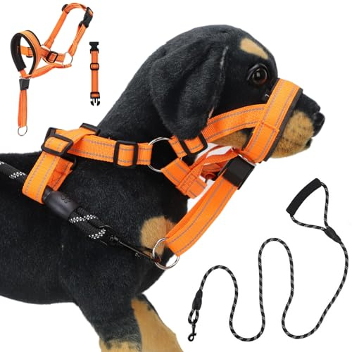 EOAMGO Lot de 8 laisses pour chien - Licol - Anti-traction - Confortable - Souple - Sécurisé et éprouvé - XL