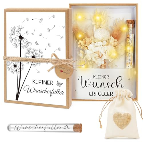 Shining She Wunscherfüller Geldgeschenk Verpackung, Pusteblume | Geburtstag Hochzeit Konfirmation Jugendweihe Geschenk Box mit LED-Lichterkette Reagenzglas Jutesäckchen Trockenblumen