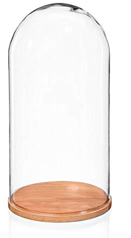 EMH Kuppelglocke, Basis aus natürlicher Buche, Durchmesser 24 cm, Höhe 46 cm, Glas & Holz, hergestellt in Polen