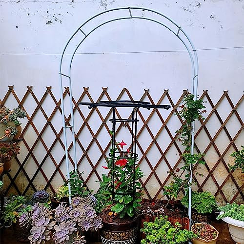Arche de rose en métal blanc pour jardin, légumes, courges, décoration de jardin et terrasse, 180 x 220 x